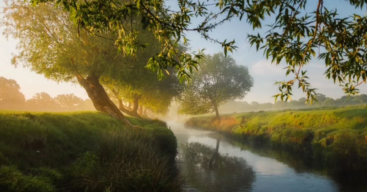 Best Dental Implant Practices in Chiswick, London