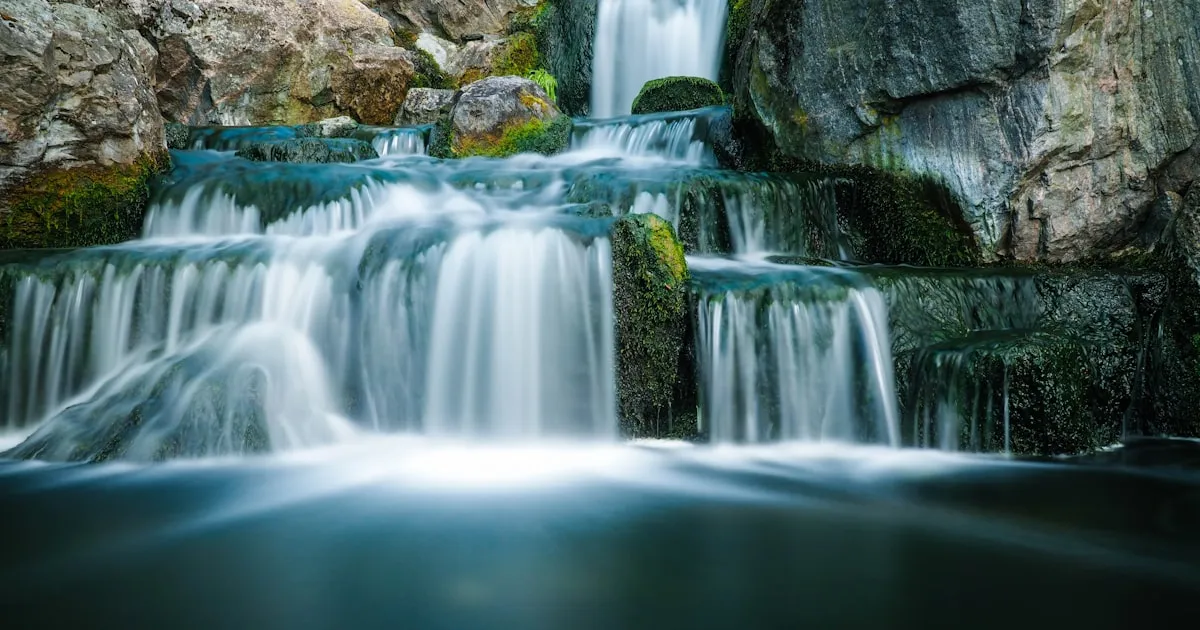 Best Dental Implant Practices in Holland Park, London