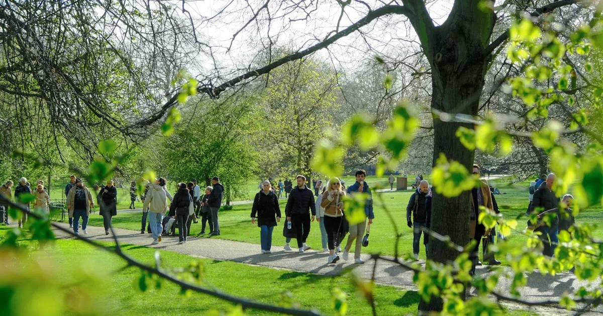 Best Dental Implant Practices in West Brompton, London